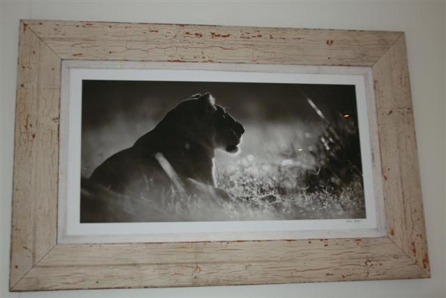 Aquavit Guest House Plettenberg Bay Room photo
